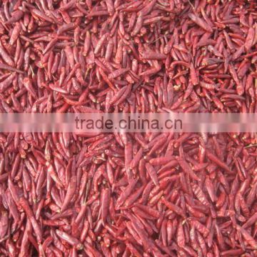 Dried red Chili