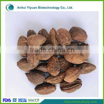 High Quality Bulk Herb Medicine Tsaoko Amomum Fruit(Caoguo)