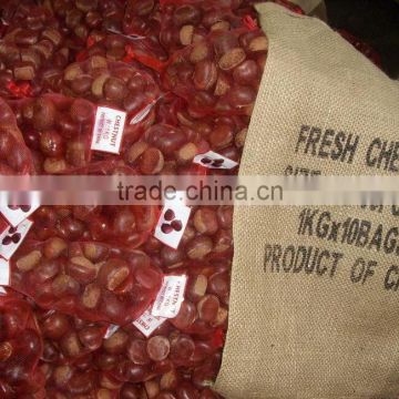 30-40 40-60 2015 hot sell sweet fresh chestnuts
