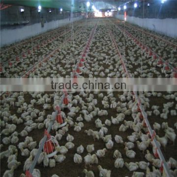 automatic rearing chicks broiler equipment