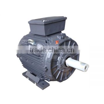 IE2 Standard Synchronous Speed Cast Iron Three Phase Electric Motor