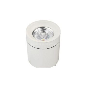 40W COB Surface Mounted Downlight