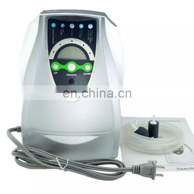 Fruit and vegetable disinfection purifier