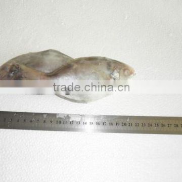 High quality frozen butterfish pomfret (POMPANO) 120-150g/pcs A