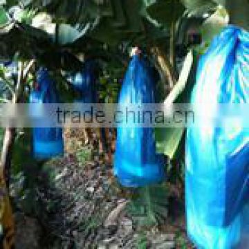 China plastic Banana protection bag