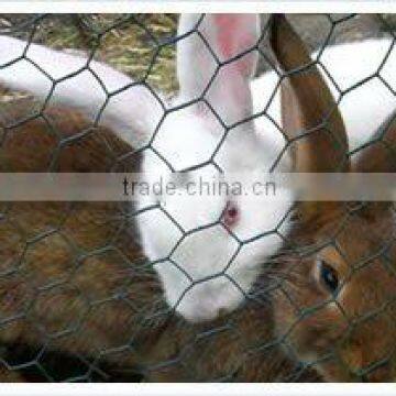 rabbit fencing mesh hexagonal wire netting