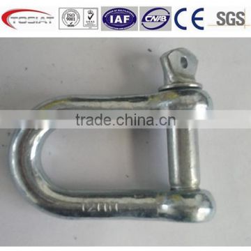 electrial galvanized European standard D and bow shackle