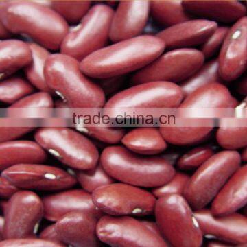 Red Kidney Beans