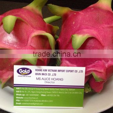 Vietnam export fresh dragon fruit