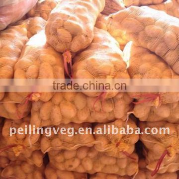 ShouGuang Excellent Fresh Potatoes