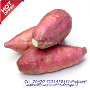 Sweet Potatoes