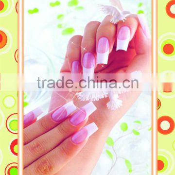 Decorative Painting pictures/nail posters nail art designs