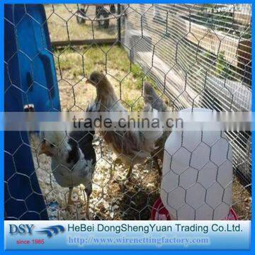 welding the stone cage nets/Hexagonal Wire Mesh/Chicken Wire Mesh/Bird Aviaries (Anping factory)