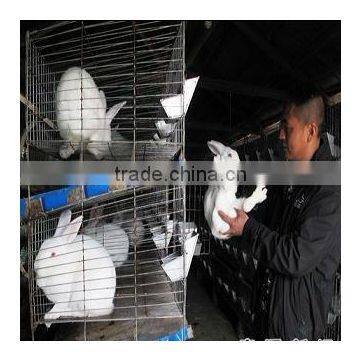 rabbit cage manufacturer