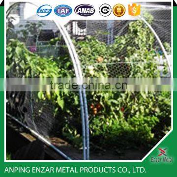 Poultry Wire Netting for Poultry Cages