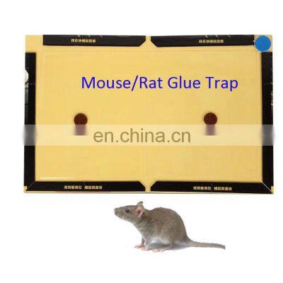 Low Price Custom Rat Glue Traps Superior Quality