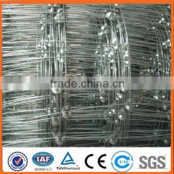 ISO9001 certificated Grassland fence/Green coated fence/square wire mesh fence (Anping low price)