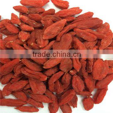 Health food goji berry