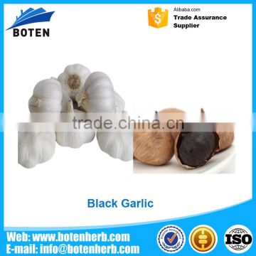 China cheap Chinese Black Garlic Extract with high quality