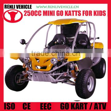 RENLI 4x4 eec 250cc buggy for sale