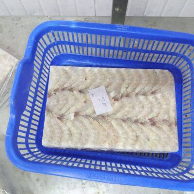 Premium Grade Frozen Vannamei Shrimps