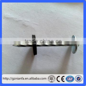 Twisted BWG9#X2.5" Roofing Nail /Galvanized Iron Material roofing nails(Guangzhou Factory)