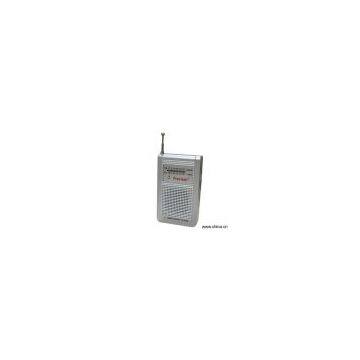 Sell AM/FM 2 Band Radio