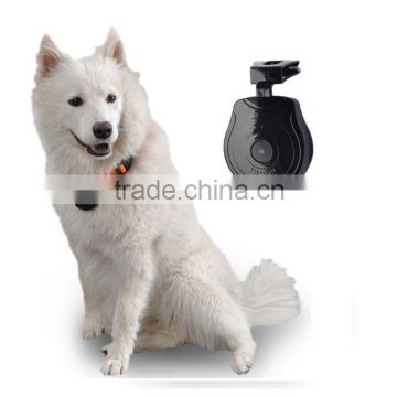 private mould digital pet cameras for your lovely pets