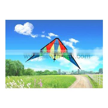 Dual Line Delta Stunt Kites - Straight Edge Kites