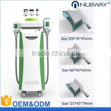 Local Fat Removal Beauty Salon Equipment Cryo Fat Freeze Weight 220 / 110V Loss Slimming Cryolipolysis Machine Cool Sculpting Machines For Body Contouring