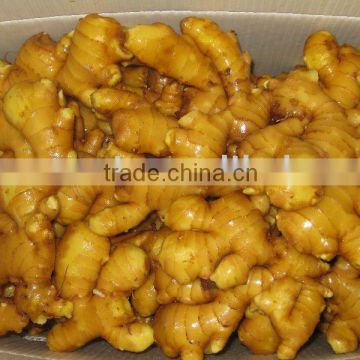 Fresh chinese ginger(2009 New crop)