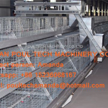 Panama Poultry Farm - A Type Battery Broiler Cage System & Battery Chicken Cage with Automatic Feeding Machine