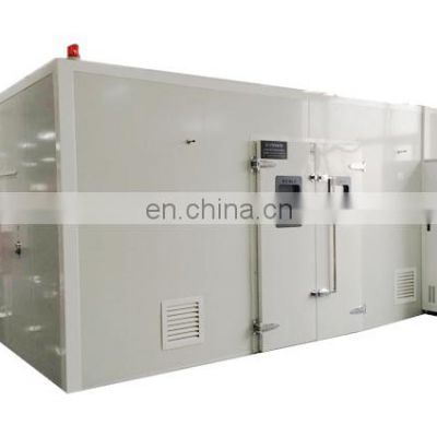 Big size Electronic products/instrument cars/plastics industrial walk in burn chamber