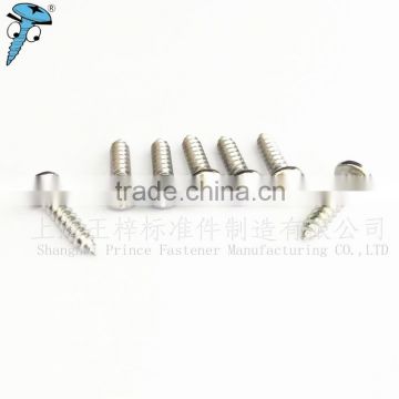 Shanghai manufactory hot sale promotion plastic fastener blinding screw