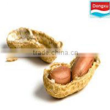 chinese raw green peanut in shell