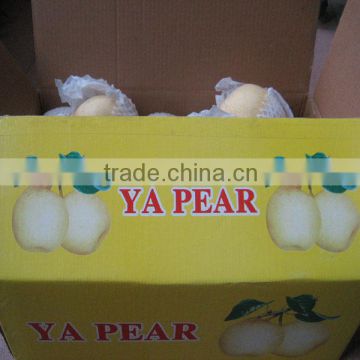 Chinese Ya Pear supplier, Asian Pear, Golden Pear