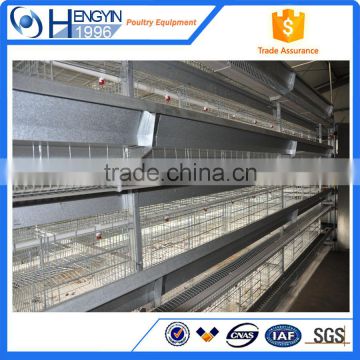 Chicken farm south africa egg layer cages