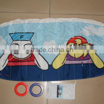 Power Kite Foil kite Soft kite from kite factory Manufacture