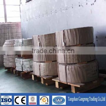 Steel Strips for Building and Hardware Tools Made in China