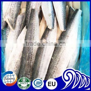 Land frozen Spanish mackerel for sale