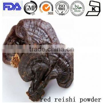 High quality 100% Natural Red Reishi /Ganoderma lucidum Mushroom Powder