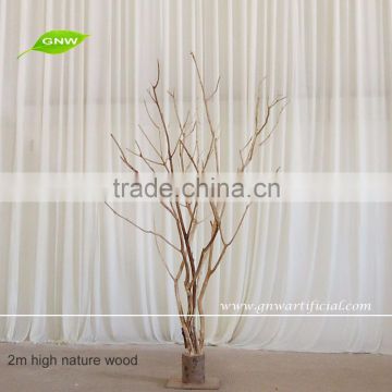 GNW WTR1606002 High quality decorative lighted tree for patry