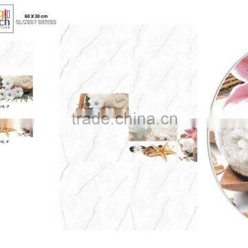 bathroom Glossy Digital Wall Tiles