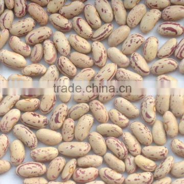 Crop 2010 kidney beans