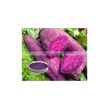 Natural Color Purple Sweet Potato Extract Purple Sweet Potato Powder, purple sweet potatoe Powder