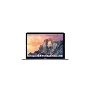 Apple MacBook 12-inch 1.3GHz Space Gray with Big Foot 4GB USB Drive