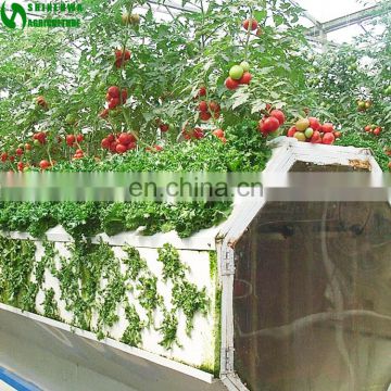 Low Price Agricultural Greenhouse Wall Hydroponic Growing Systems