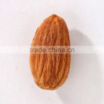 raw and roasted almond