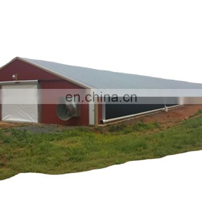 China steel frame layer poultry farm shed structures construction design building