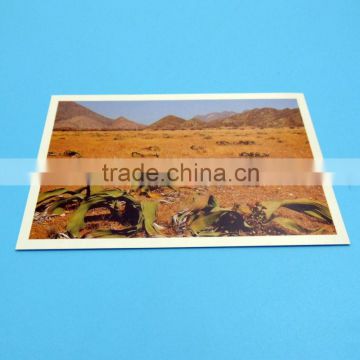 Hot sale high quality and popular card printing factory